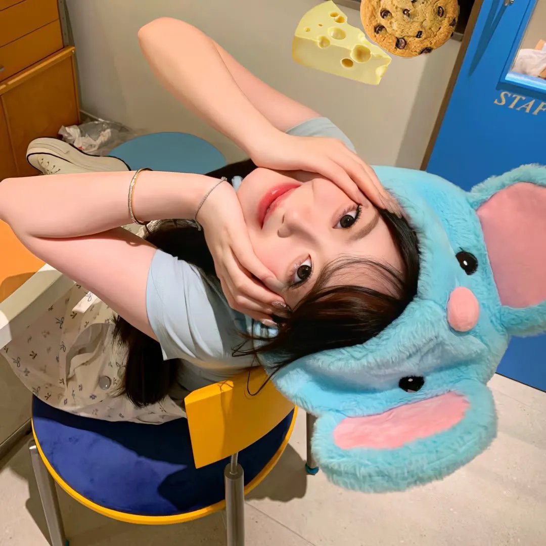疯狂的旅行箱
