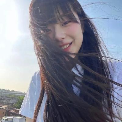 挎斗摩托车里的狗